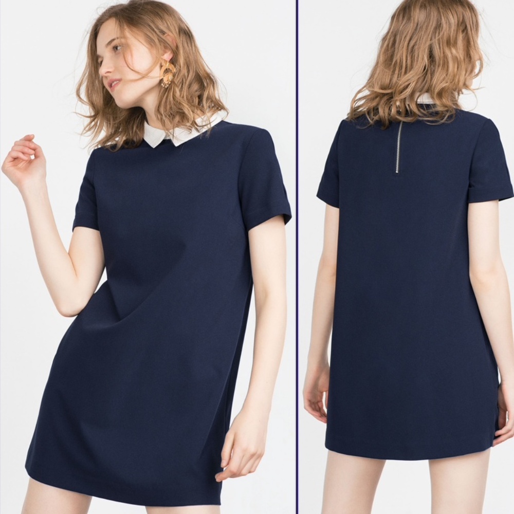 Zara Basic Dress with Contrasting Collar NWT L